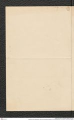 Nachlass Franz Steindachner, Brief von Brancaleone Borgioli an Franz Steindachner (14.03.1901), Inv.Nr. 45.05, Seite 2